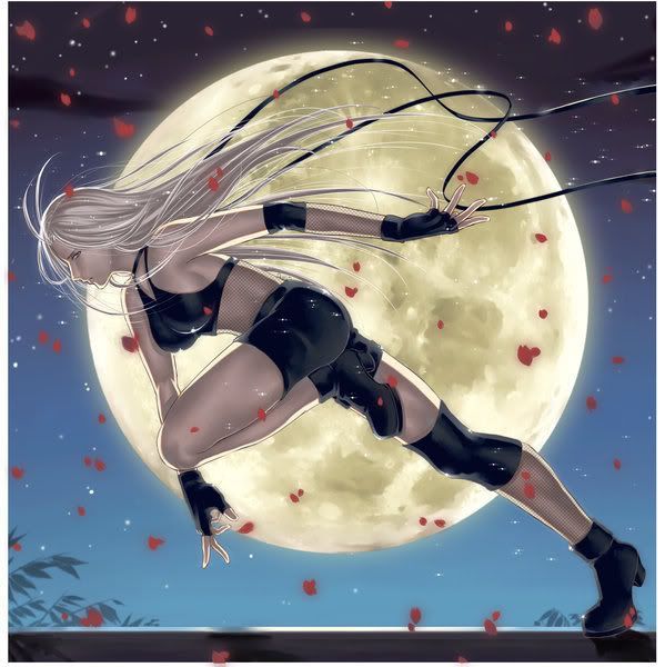 Female Ninja Pictures, Images and Photos